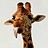 Sijin_Jacob